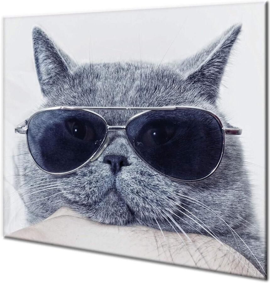 Glazen Kookplaat Protector Snijplank Werkblad Keukenwerk Vereenvoudigen Slagvast Krasbestendig 60 cm x 52 cm Meerkleurig