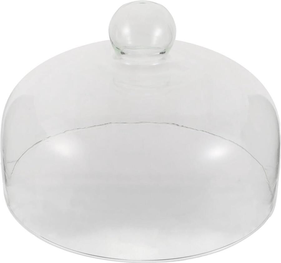 Glazen Magnetron Deksel Voedselafdekking Spatscherm Restjes Opwarmen Hittebestendig Transparant 24 x 24 cm Transparant