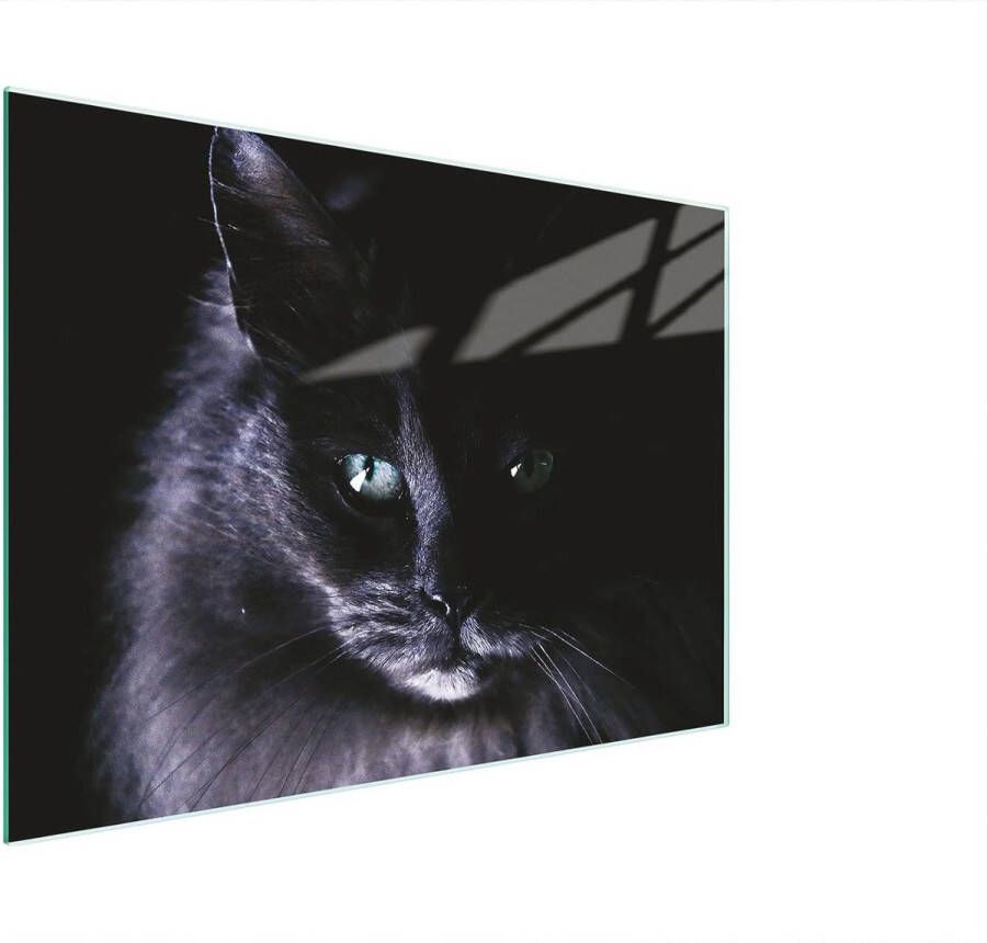 Glazen Snijplank en Afdekplaat voor Kookplaat Multifunctioneel Krasbestendig en Hygienisch