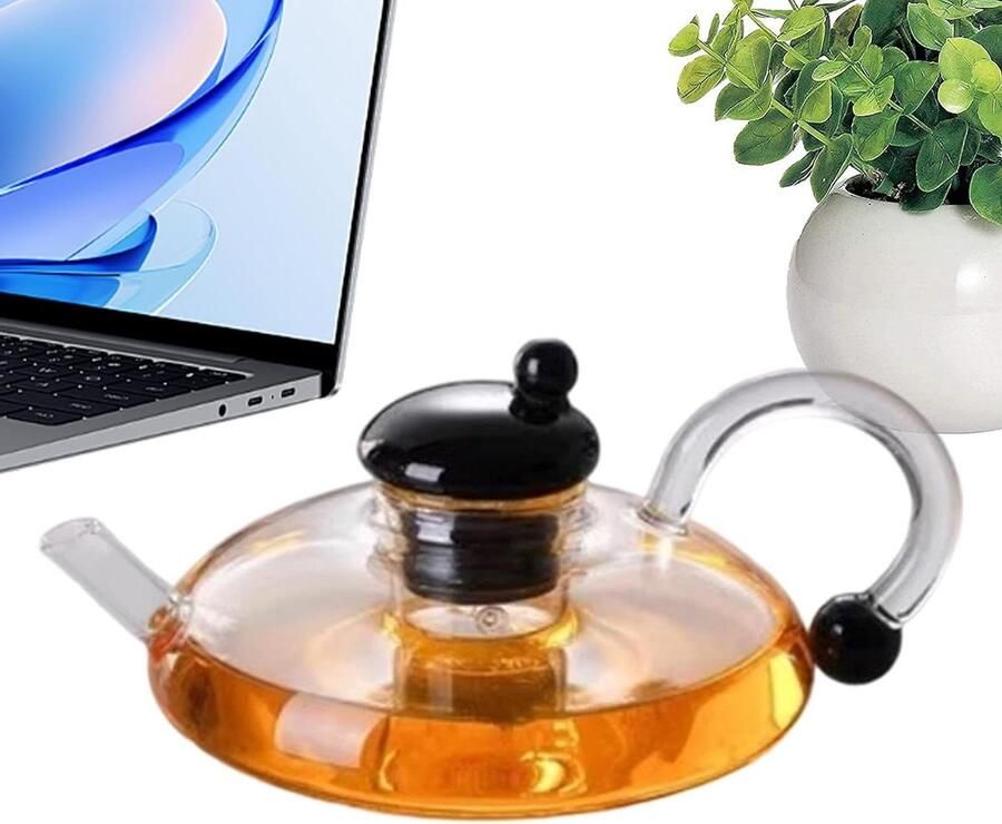 Glazen waterkoker Theepot Thee zetten Hittebestendig glas 600 ml capaciteit Transparant