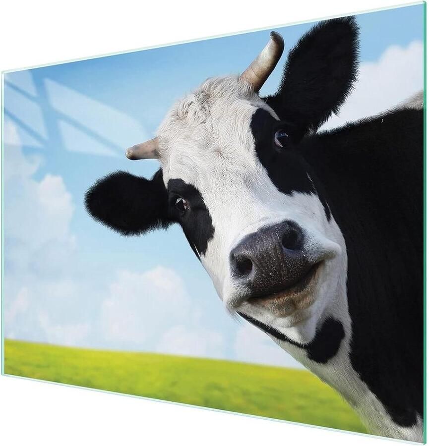 Glazen Werkblad Kookplaat Beschermer Keuken Werkruimte Gehard Glas 40x30 cm Veelkleurig