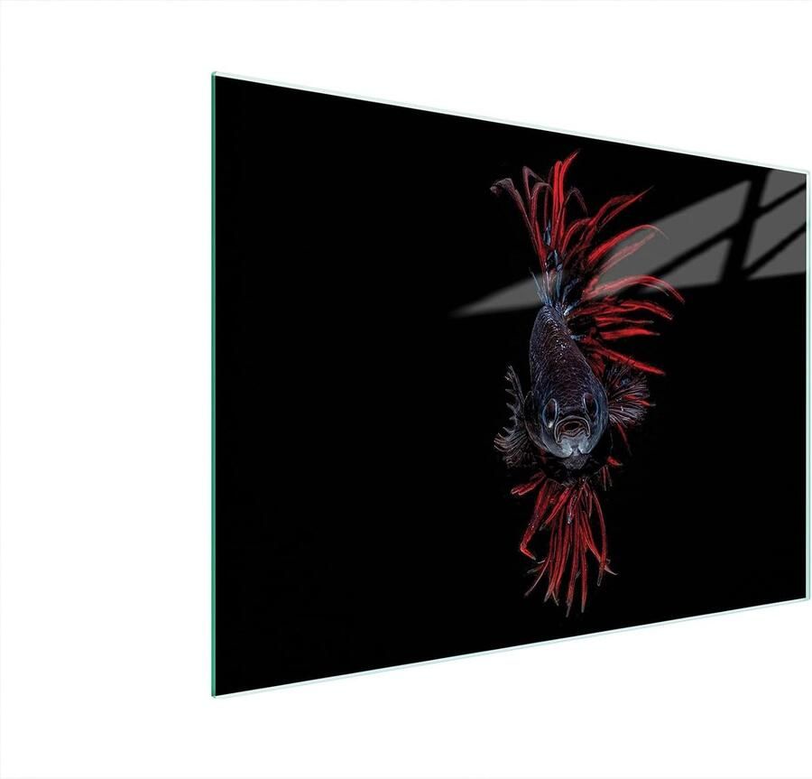 Glazen Werkbladbeschermer Kookplaat Afdekplaat Keuken Beschermen Hittebestendig Gehard Glas 40x30 cm Zwart