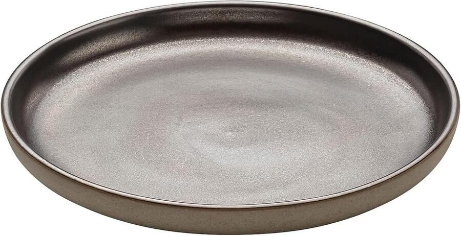Gourmetbord Rond Dinerbord Stoneware Dagelijks Gebruik Vaatwasser Magnetronbestendig 20 cm Diameter
