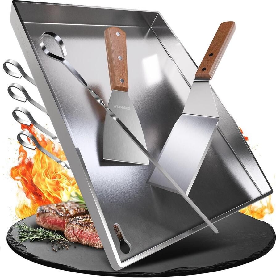 Grillplaat 30 x 20 cm van roestvrij staal geschikt voor gasbarbecue en houtskoolgrill met accessoires