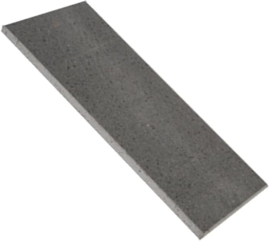 Grillplaat Racletteplaat Bakplaat Gezellig Eten Roestvrij Staal 40.5 x 20 cm Zilver