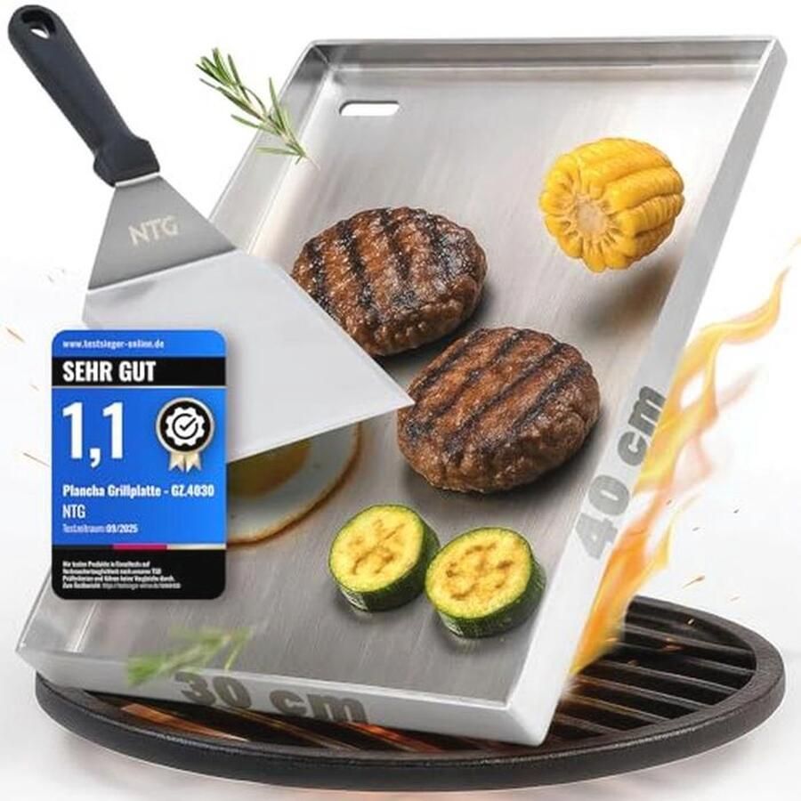 Grillplaat van 4 mm roestvrij staal 40 x 30 cm plancha met vetafvoer en grillspatel voor gas- en kolengrill