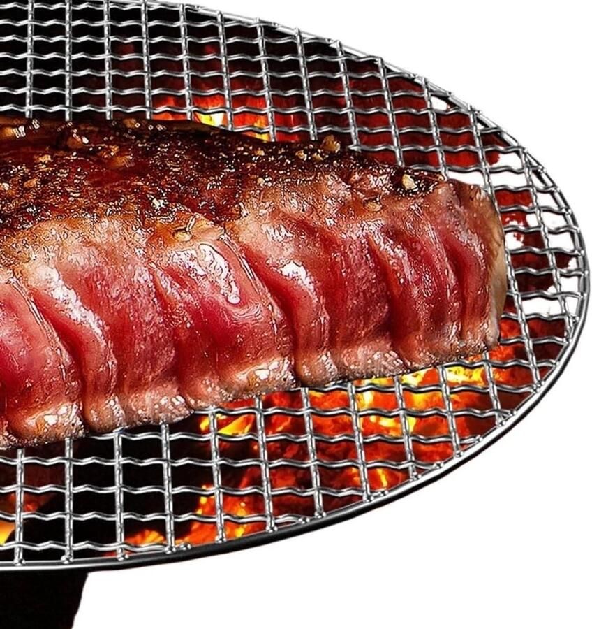 BBQ Grillmand Grillrooster Visrek Buiten Grillen 304 Roestvrij Staal 24.5 cm Zilver