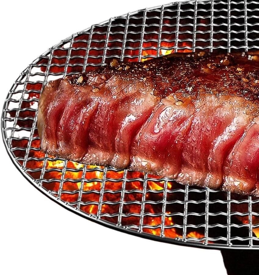 Grillrooster Rond BBQ Net Buiten Koken Roestvrij Staal 55 cm Zilverkleurig