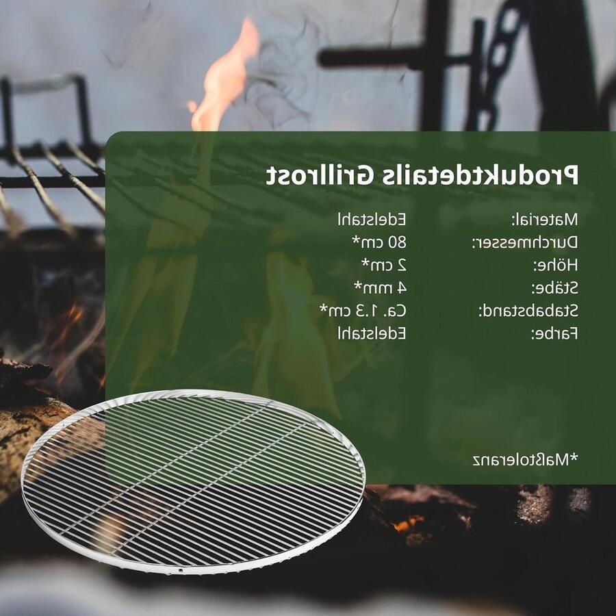 Grillrooster RVS Zwenkgrill rooster Buiten koken Glad oppervlak 80 cm diameter Mat zilver