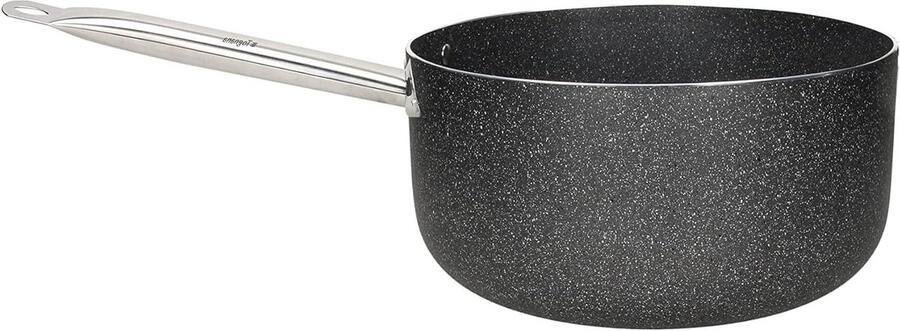 Grote Braadpan Ovenschaal Grote Maaltijden Bereiden Inductie Geschikt 22 cm Grijs