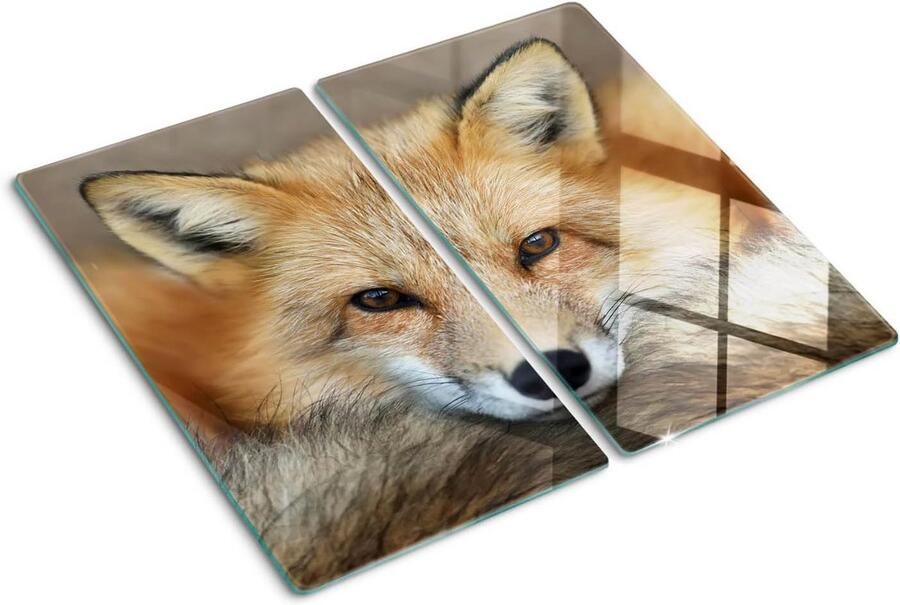 Grote Dekplaat van Gehard Glas voor Kookplaat en Snijplank