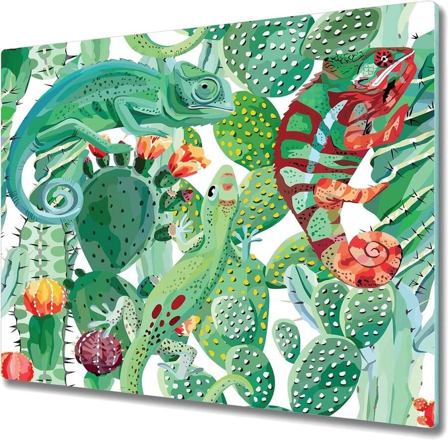 Grote Dekplaat voor Kookplaat van Gehard Glas 60x52cm Krasvast en Hittebestendig