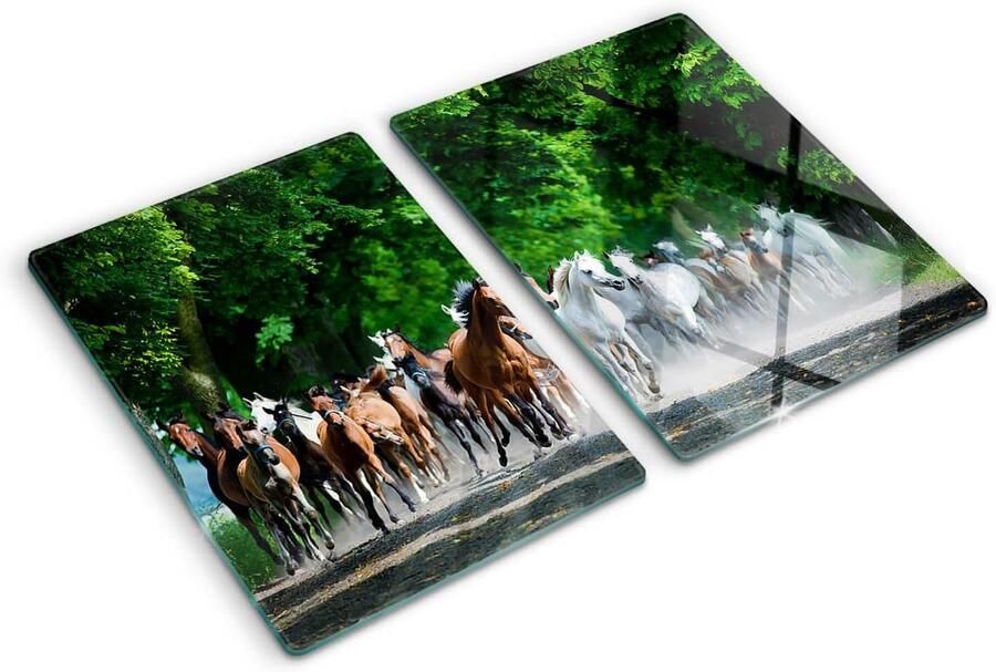 Grote Glazen Snijplank & Kookplaat Afdekking Gehard Glas 40x52cm Antislip Achterwand