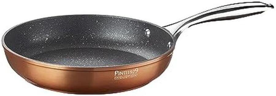 Grote Metallic Koekenpan 32 cm met Antiaanbaklaag en Inductie Geschikt