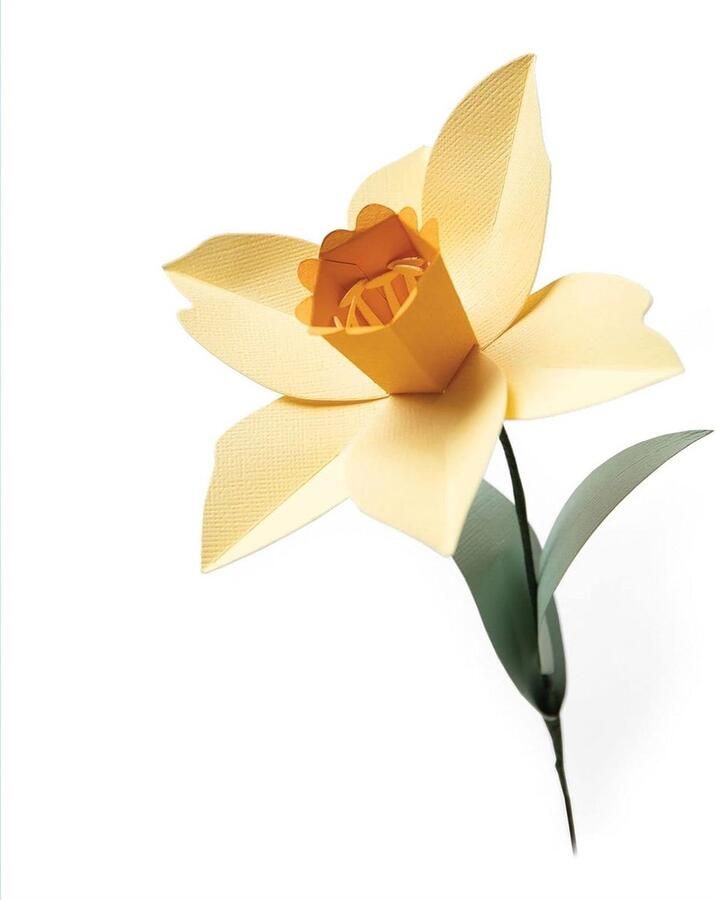 Grote Stanssjabloon voor Papier Stof en Leer Geschikt voor Big Shot Machines