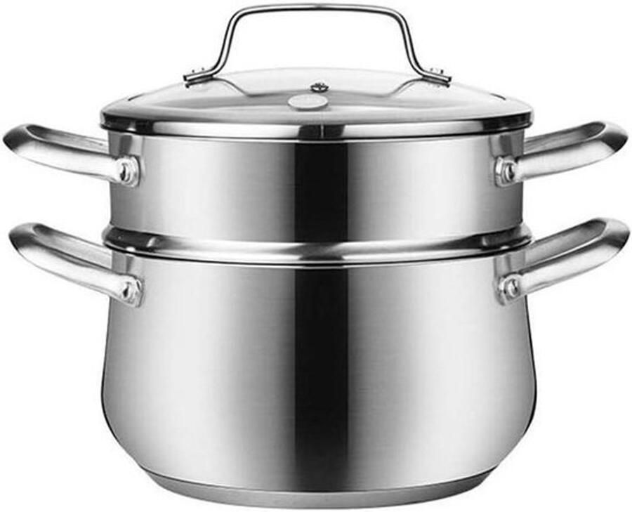 Grote Stoompan RVS stoomkoker Gezond koken Drievoudige bodem 22 cm Zilverkleurig