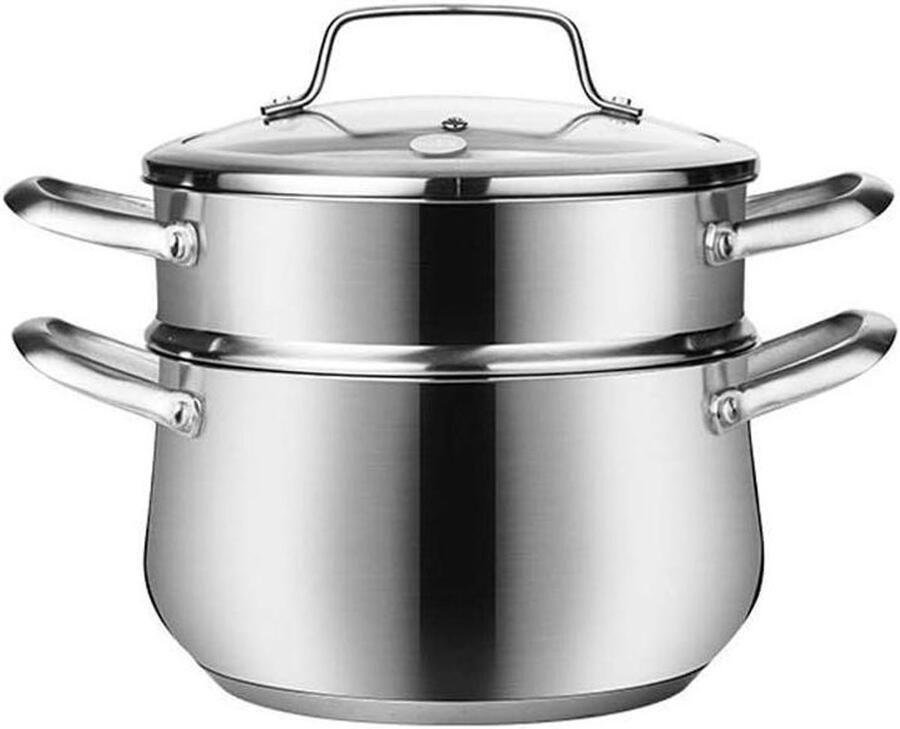 Grote Stoompan Stoomkoker RVS Gezond Koken Drievoudige Bodem 22 cm Zilverkleurig