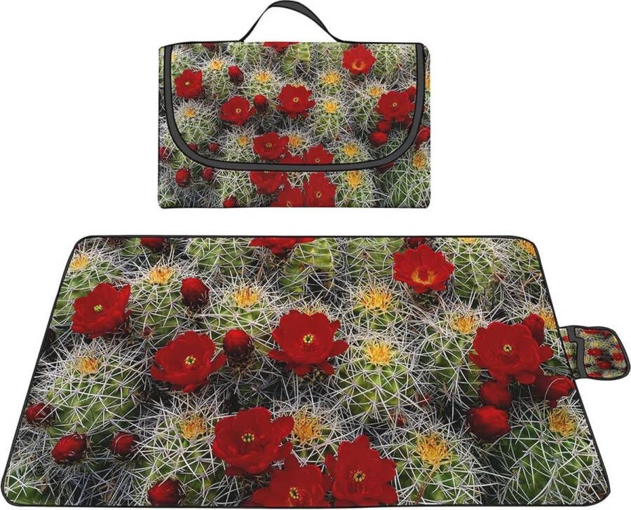 Grote Waterdichte Picknickdeken van 200 x 300 cm met Draaggreep Machinewasbaar en Geschikt voor Kamperen Strand en Tuin