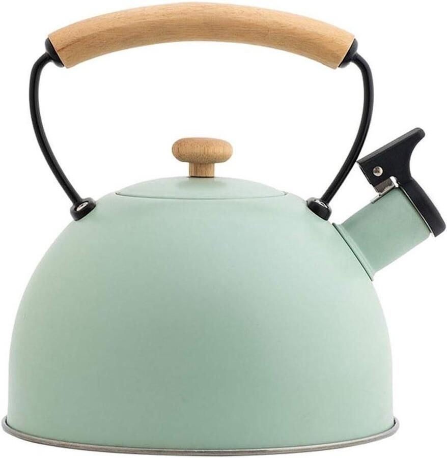 Grote Waterkoker Gekleurde Ketel Water Koken Automatisch Fluit Signaal 2.5 Liter Groen
