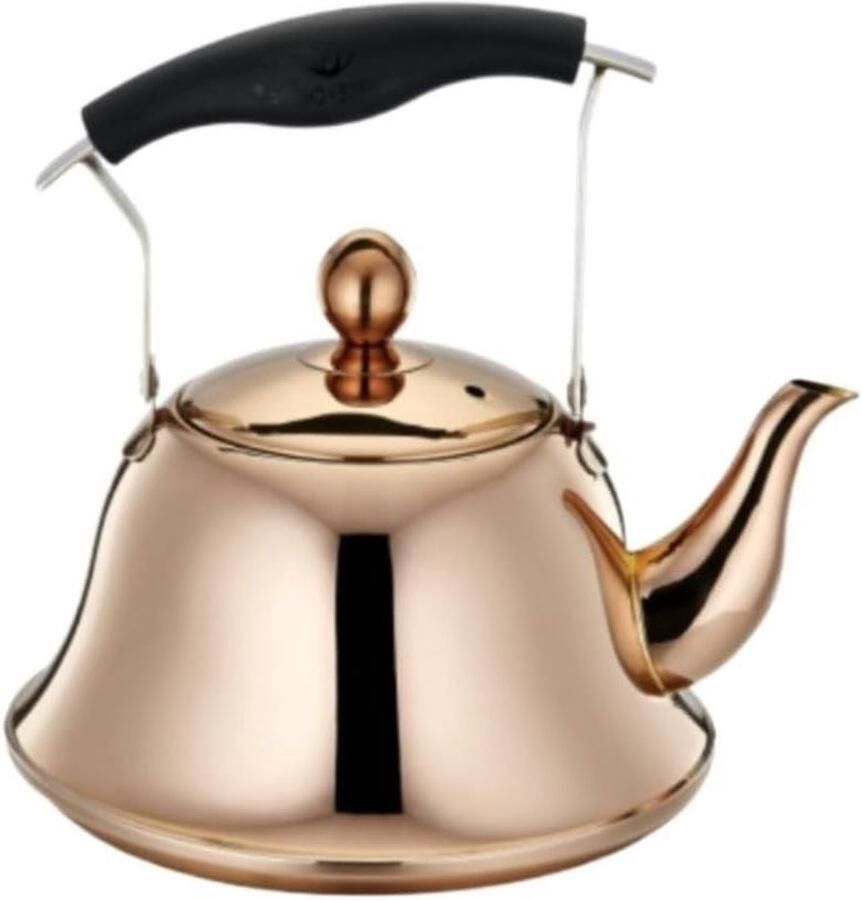Grote Waterkoker Grote fluitketel Koffie en Thee Luid fluitje 4 Liter Zilver