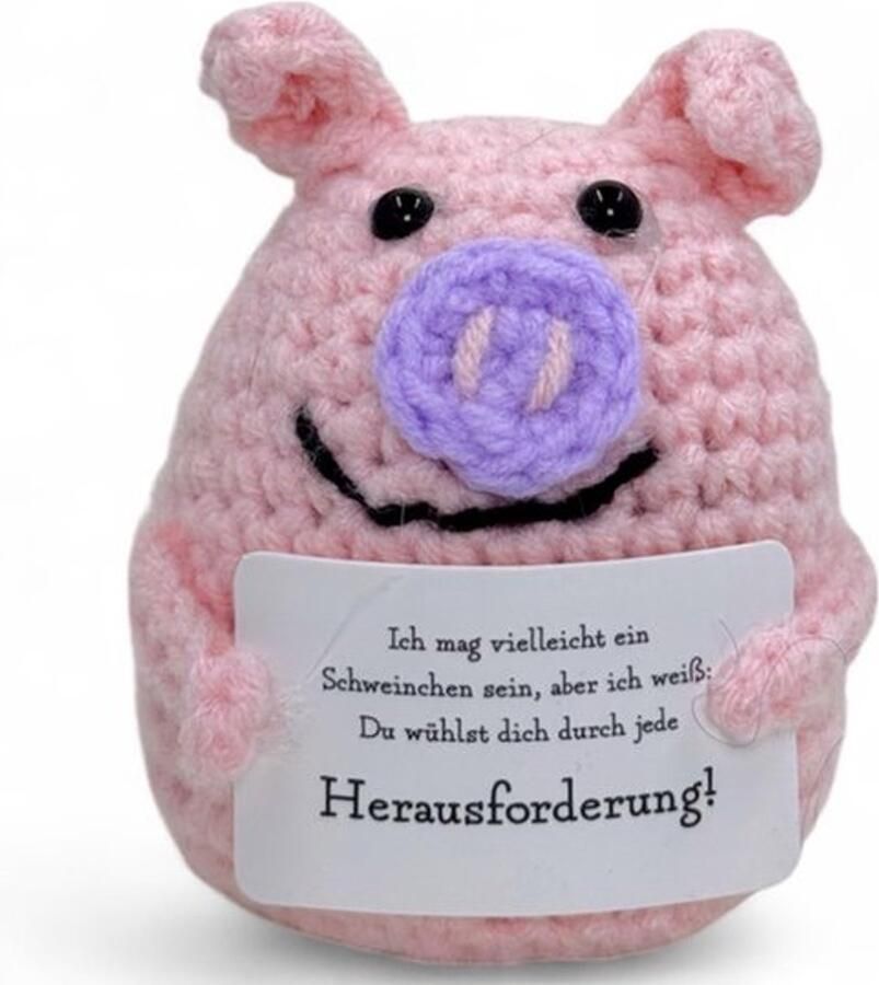 Handgemaakte Haakfiguren met Motivational Berichten Schattige Souvenir Vriend (Varken)