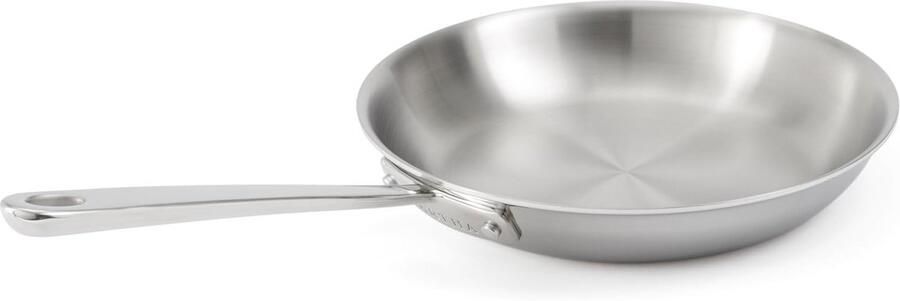 Hapjespan RVS Koekenpan Drielaags Professioneel Koken Gegoten Handgreep 25 cm Zilverkleurig