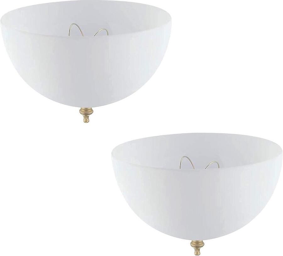 Heteluchtfriteuse RVS met 10 Liter Inhoud en 1500W Vermogen