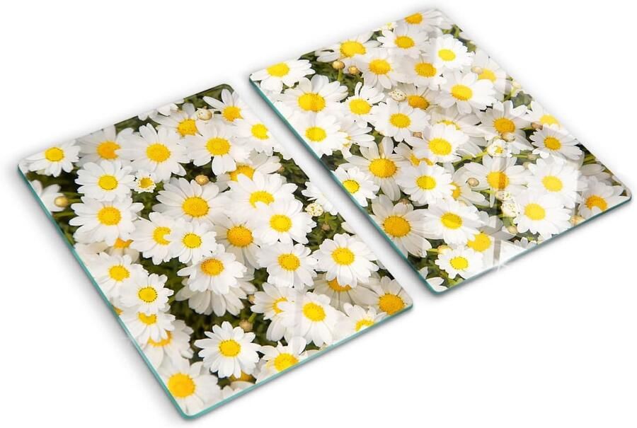 Hittebestendig Glasplaat voor Kookplaat en Werkblad 40x52 cm