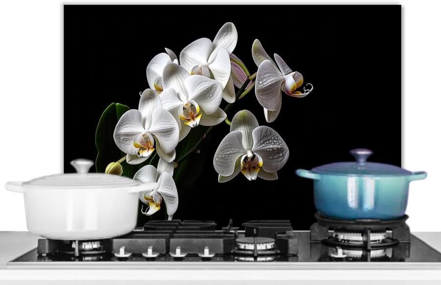 Hittebestendig Keukenscherm Orchidee 60x40 cm Spatwand voor Kookplaat Gemakkelijk Ophangen