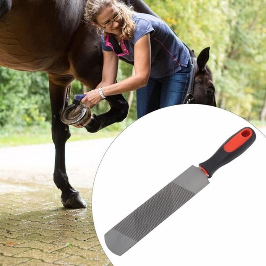 Hoefijzer Trimgereedschap 8 Inch Hoefrasp Koolstofstaal Ergonomische Vijl met Flexibel Handvat voor Paard
