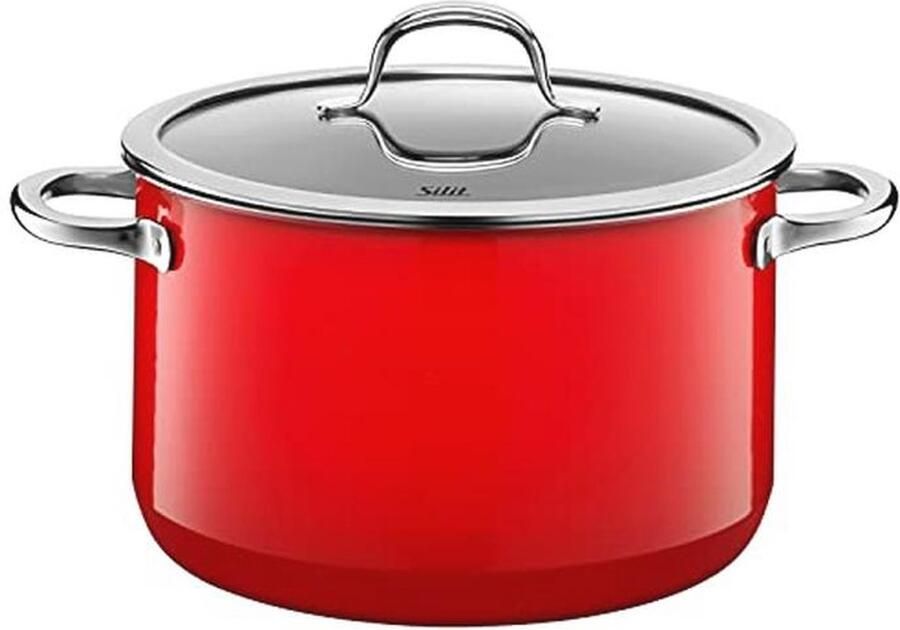 Hoogwaardige Kook- en Vleespan 24 cm met Glazen Deksel Energiebesparend en Geschikt voor Inductie