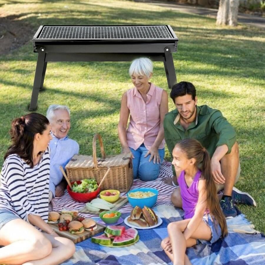 Houtskoolgrill Draagbare grill Buiten koken Inclusief handige houder 60x22x33 cm Meerkleurig