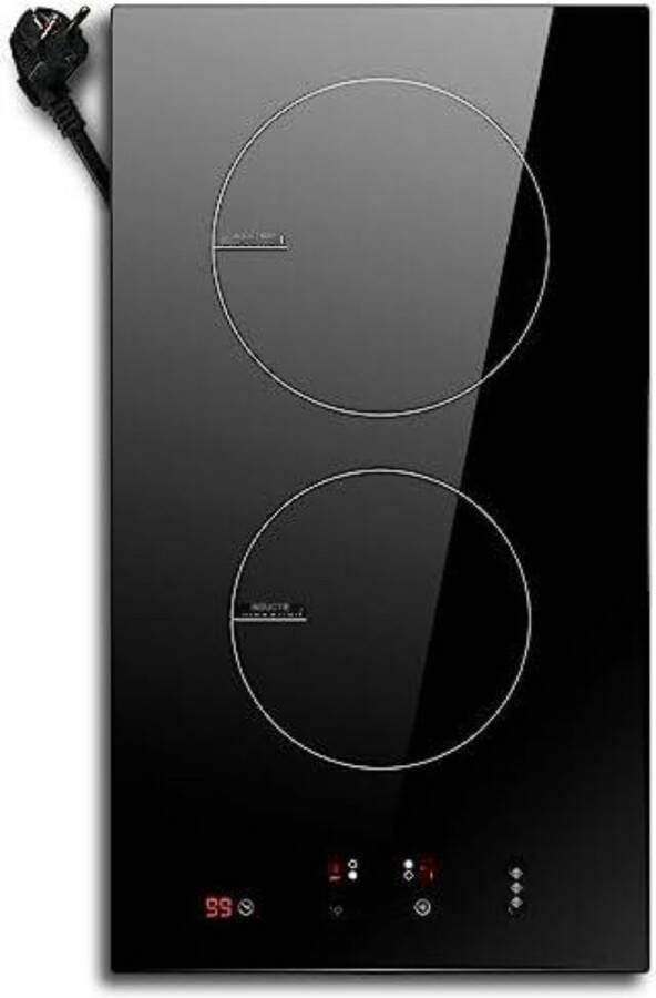 Inductie kookplaat 2 pits Electrische kookplaat 2 pit Kookplaat 2 pits 2 platen Keramische kookplaat 3000W