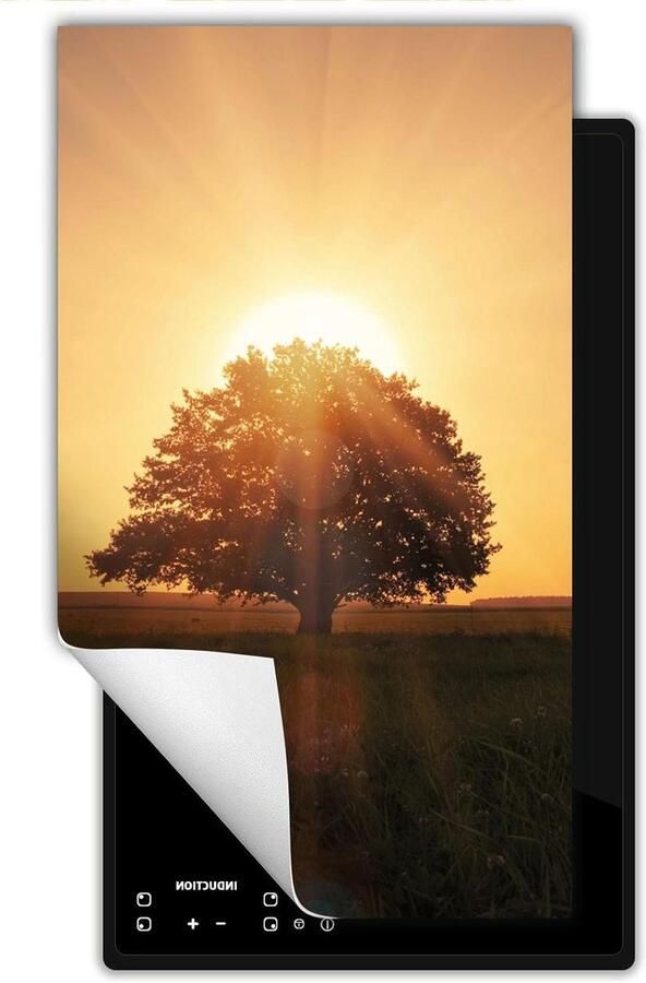 Inductie kookplaat beschermer Fornuis afdekplaat Extra werkruimte Kras- en vlekbestendig 30x52 cm Boom zon