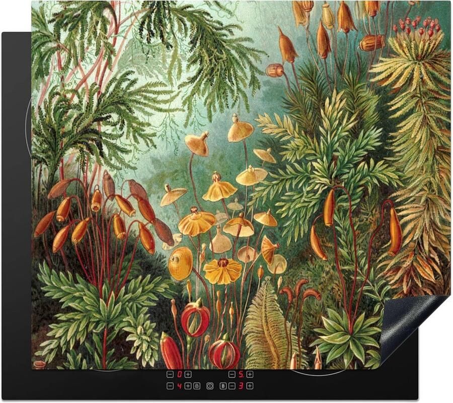 Inductie Kookplaat Beschermer Kookplaat Mat Keuken Decoratie Krasvrij Werkblad 59x52 cm Multicolour