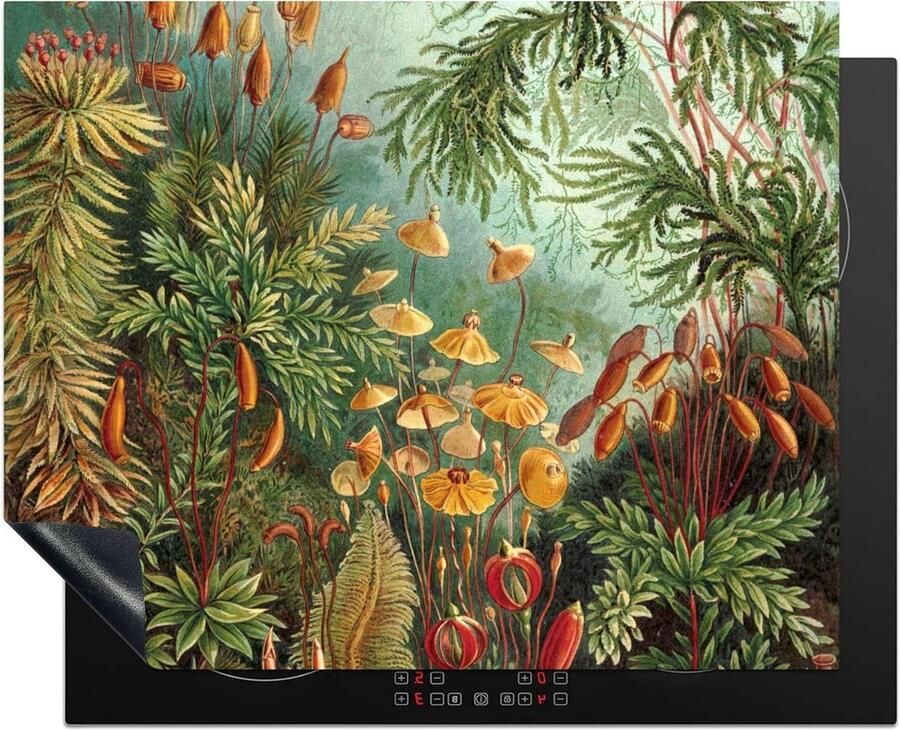 Inductie Kookplaat Beschermer Kookplaat Mat Keuken Decoratie Unieke Kunst Print 65x52 cm Multicolor