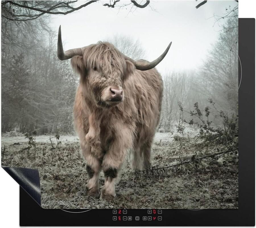 Inductie Kookplaat Beschermer Werkblad Beschermer Kookplaat Extra Werkruimte Creëren Unieke Foto Print 58x51 cm Schotse hooglander