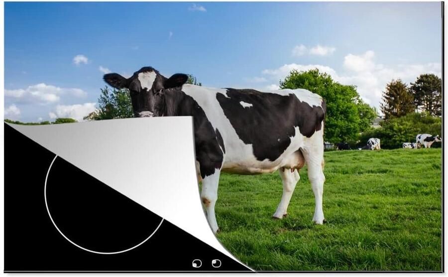Inductie Kookplaat Protector Mat voor Kookplaat Bescherming Kookplaat Krasvrij Werkoppervlak 81x52 cm Zwart Wit