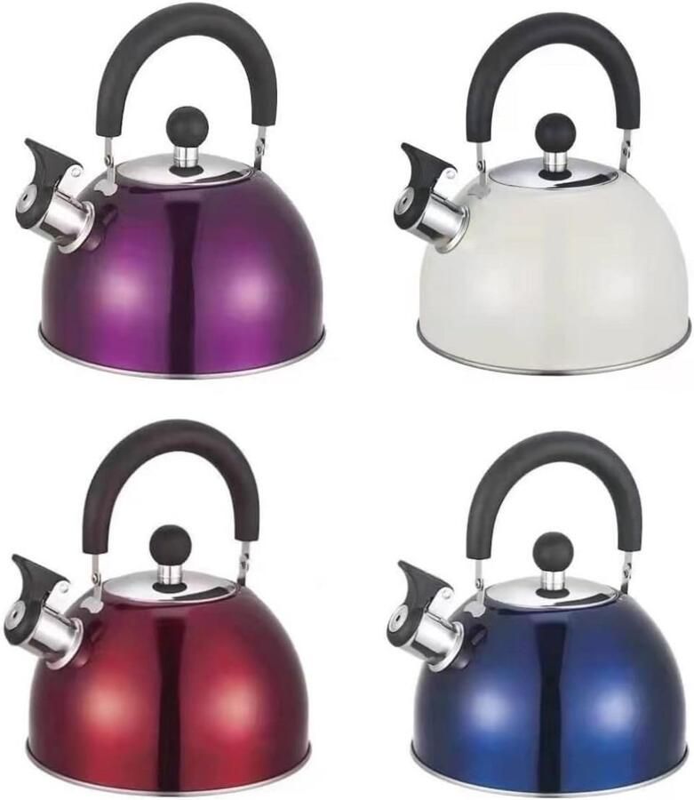 Inductie RVS Waterkoker met Pijp (2 5 L) voor Koken en Kamperen Verwarmbestendig en Antislip Ontwerp