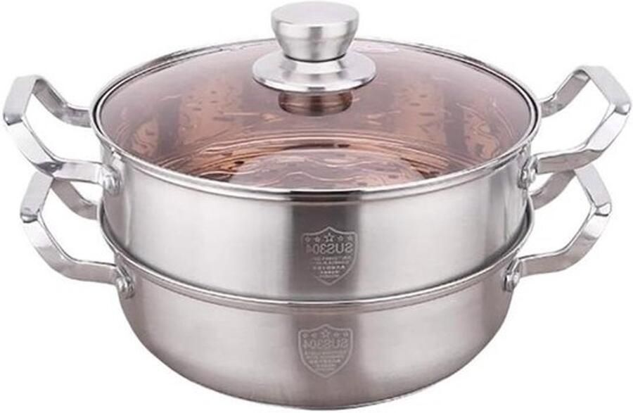 Inductie Stoompan Kookgerei Pot Gezond Koken Twee Lagen 28 x 20 cm Zilver