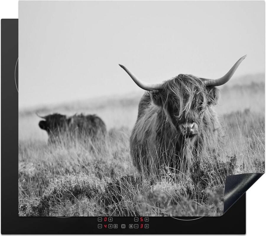 Inductiebeschermer 60x52cm Antislip Keukenmat voor Inductiekookplaat Bescherming en Decoratie Natuur Motief