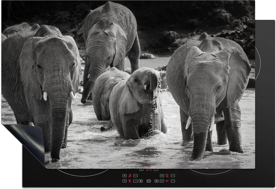 Inductie Kookplaat Protector Mat voor Kookplaat Beschermen Unieke Foto Print 78x52 cm Multicolor