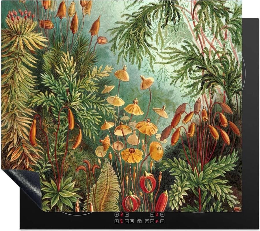 Inductiebeschermer Inductiemat Kookplaat Keuken Beschermen Extra Werkruimte 60x52 cm Multicolor