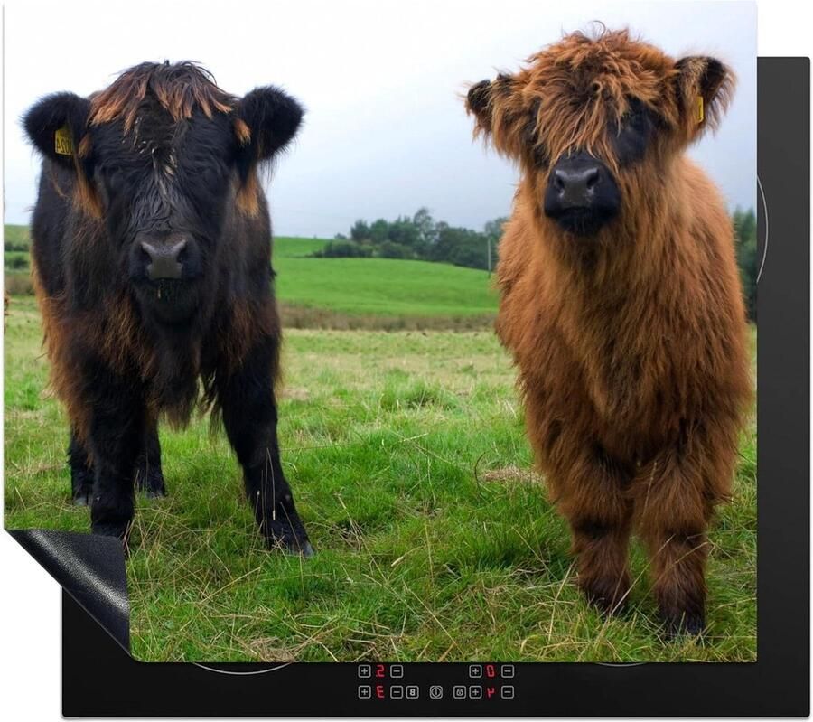 Inductiebeschermer Inductiemat Kookplaat Keuken Beschermen Krasvrij Werkoppervlak 58x51 cm Multicolor