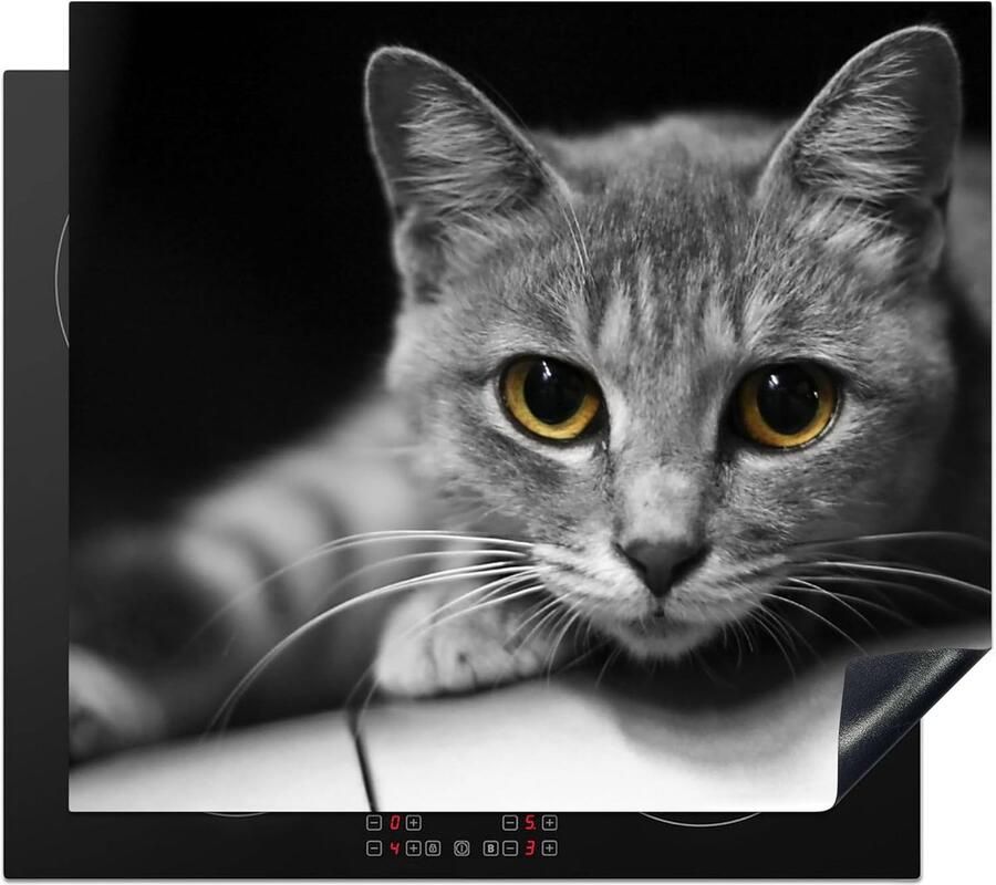Inductiebeschermer voor Inductiekookplaat Vinyl Kat Motief 60x52 cm