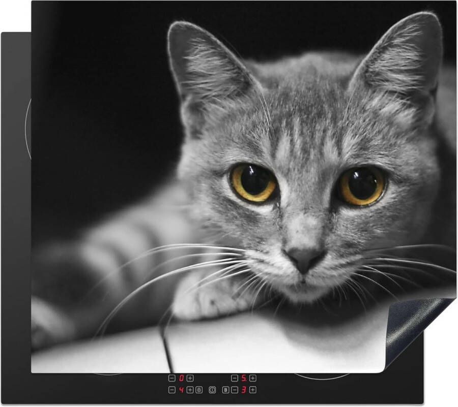 Inductiebeschermer voor kookplaat Vinyl Dierlijke print 60x52 cm