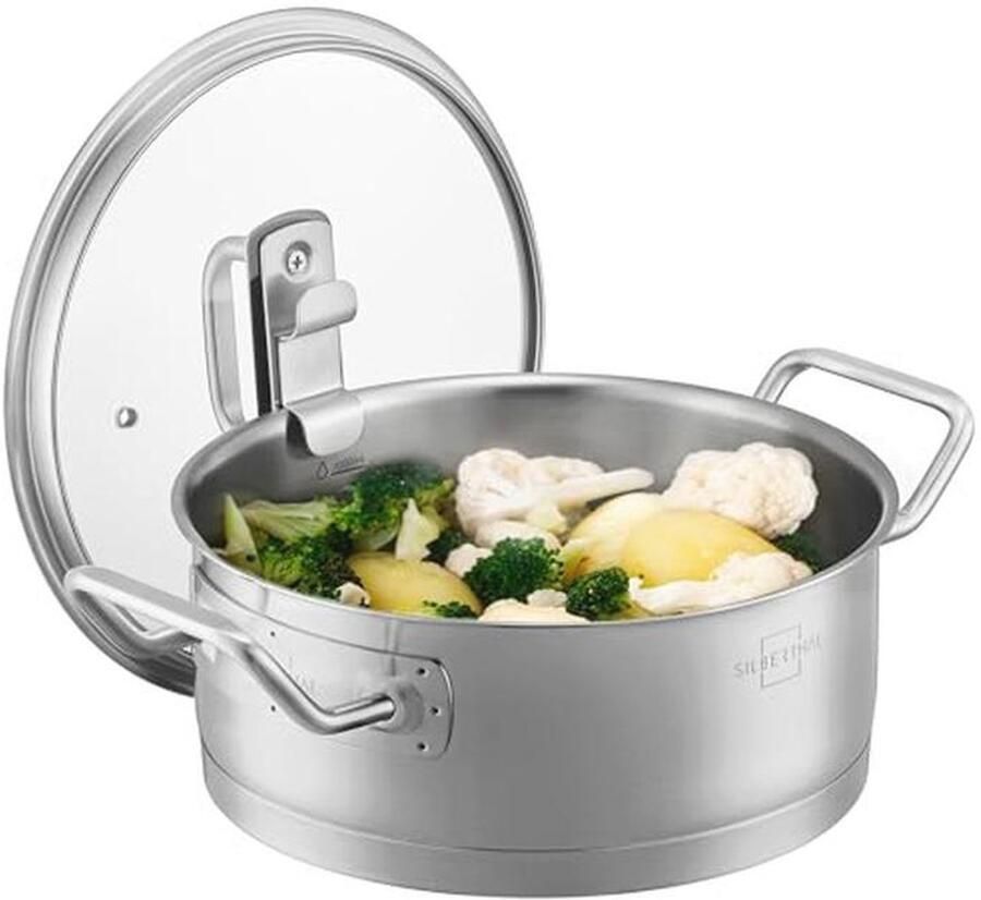 Inductiekookpan 20 cm Roestvrij Staal 2 5L Voor Alle Warmtebronnen Ovenvast