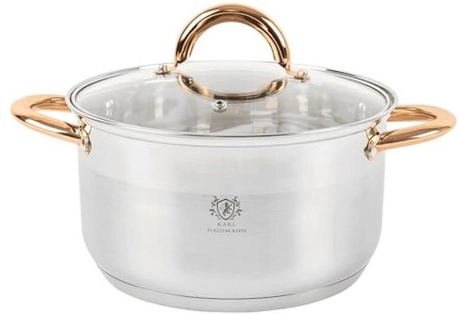 Inductiekookpan 3L Ø 20 cm Roestvrijstalen Pan met Deksel voor Alle Warmtebronnen Geschikt voor Soepen en Spaghetti