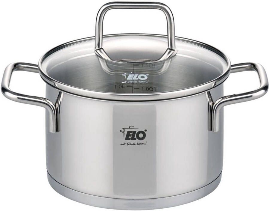 Inductiekookpan RVS 20 cm met Glazen Deksel