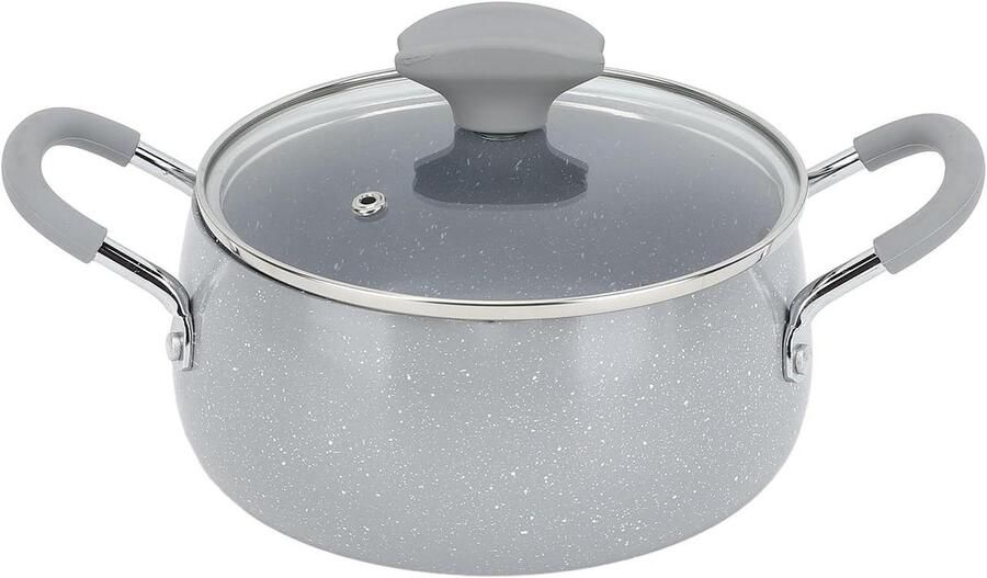 Japanse Frituurpan Mini Frituurpan Thuis Frituren Met Deksel en Rek 950g Zilver